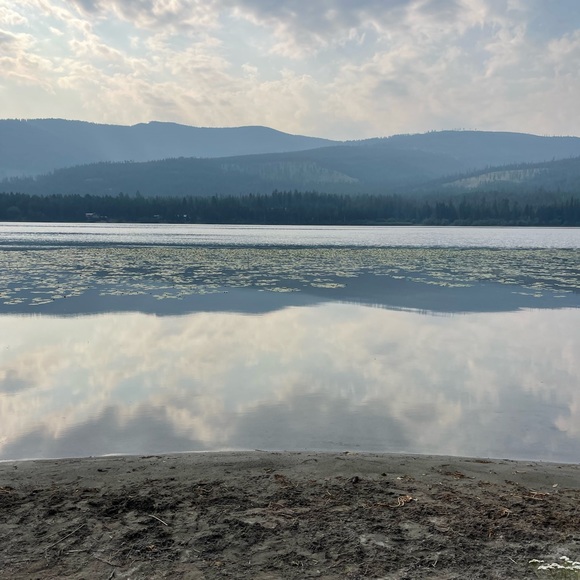 Meet your Posher, Nicole - Picture 1 of 1